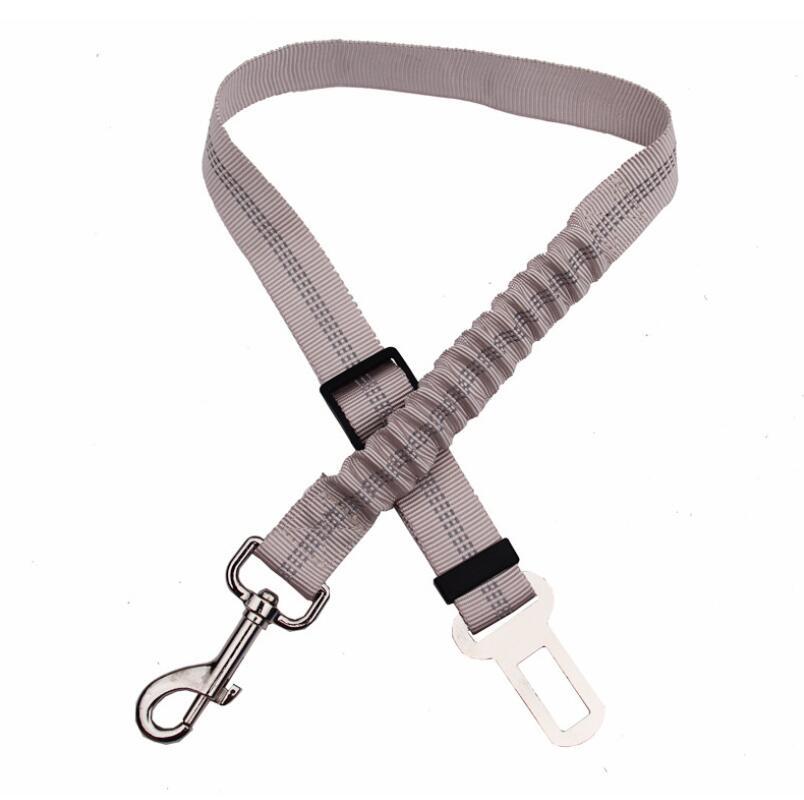 Seatbelt Secured Car Leash