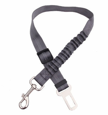 Seatbelt Secured Car Leash